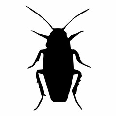 black silhouette of cockroach insect