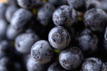 Bunch of black grapes, Seedless grapes background