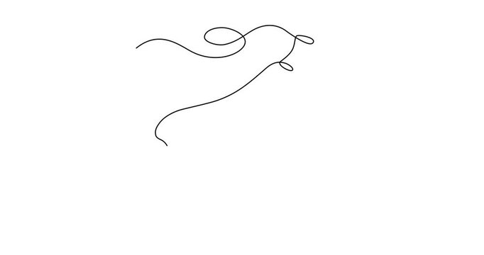 Zucchini, vegetable, courgette, kind of pumpkin, one line, online artistic animation in continuous line in minimalism, continuous contour movement, video self drawing of line in 4k