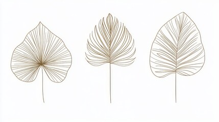 30.Stylish collection of abstract tropical palm leaves in a trendy minimal linear style; each leaf has distinct, simplified lines that capture natural curves, designed for versatility in logo design,