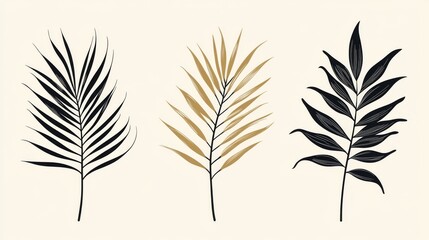 Fototapeta premium 30.Stylish collection of abstract tropical palm leaves in a trendy minimal linear style; each leaf has distinct, simplified lines that capture natural curves, designed for versatility in logo design,
