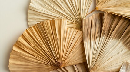 68.Fan-shaped display of dried palm leaves in shades of brown and beige, arranged to highlight their organic patterns and textures; each leaf has visible folds and natural imperfections, creating an