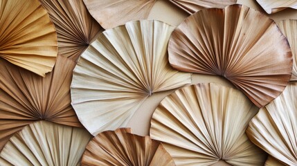 68.Fan-shaped display of dried palm leaves in shades of brown and beige, arranged to highlight their organic patterns and textures; each leaf has visible folds and natural imperfections, creating an