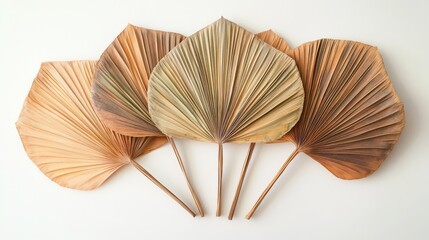 68.Fan-shaped display of dried palm leaves in shades of brown and beige, arranged to highlight their organic patterns and textures; each leaf has visible folds and natural imperfections, creating an