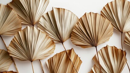 99.Fan-shaped dried palm leaves placed on a white background, with close-up details of each leafâ€™s texture and structure. The dry, warm colors of the leaves add a rustic touch, while the negative