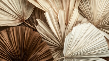 73.A beautifully fanned display of dried palm leaves in varying shades of brown and beige, arranged to highlight their earthy textures and intricate lines. The leavesâ€™ natural patterns add depth,