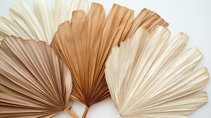 67.Dried palm leaves laid out in a fan-shaped arrangement, with a gradient of soft browns and beiges; the leavesâ€™ textures are emphasized, highlighting the natural lines and subtle curves,