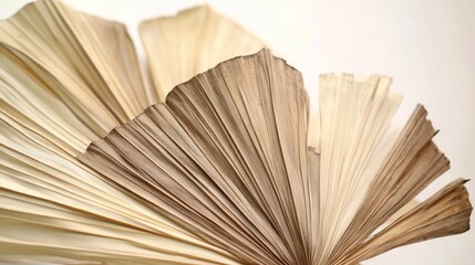 70.Dried palm leaves set in a fan-like shape, displaying a range of beige and brown hues; the textures of each leaf are detailed, with visible lines and natural folds, all showcased against a light
