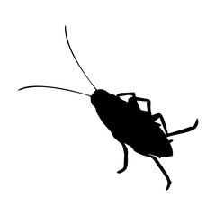 black silhouette of cockroach insect