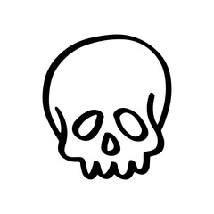Element of skull 