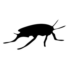 black silhouette of cockroach insect