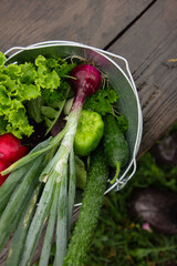 Fresh tasty vegetables lie in a metal bucket. Raindrops on vegetables.