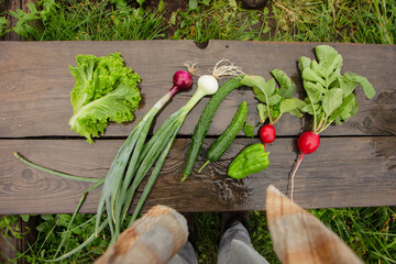 vegetables in the garden