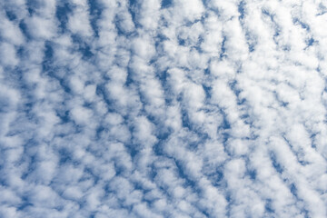 Layer of white puffy clouds, Cirrus and Altocumulus, against a dark blue sky, atmospheric...