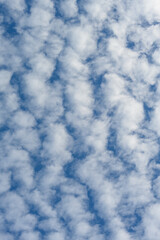 Layer of white puffy clouds, Cirrus and Altocumulus, against a dark blue sky, atmospheric...