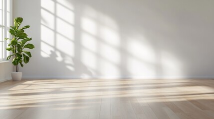 Bright, minimalistic room with a plant and sunlight shadows.