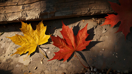 Obraz premium A high-resolution background for a maple leaf-themed poster, featuring realistic, detailed maple leaves in warm autumn hues of red, orange, yellow, and brown. 