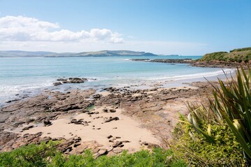 Curio Bay Rugged Coastal Landscape at Low Tide on a Sunny Day - Scenic New Zealand