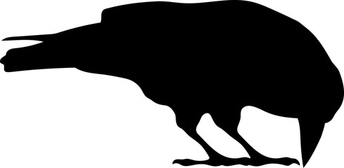 Bird Raven Crow Black Silhouette for Icon.