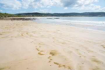 Curio Bay Rugged Coastal Landscape at Low Tide on a Sunny Day - Scenic New Zealand