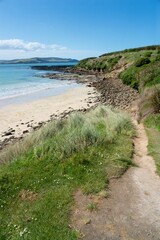 Curio Bay Rugged Coastal Landscape at Low Tide on a Sunny Day - Scenic New Zealand