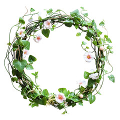 Naklejka premium Ivy Vine Wreath with Flowers Isolated on Transparent Background