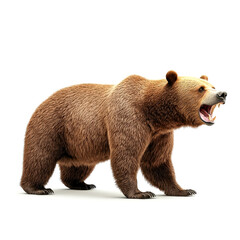 Fototapeta premium A roaring brown bear stands fiercely, showcasing its powerful form and thick fur, embodying strength and wildness in nature.