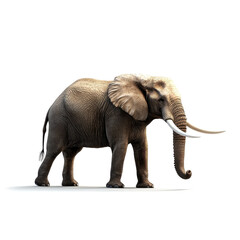 Fototapeta premium A realistic illustration of an elephant, showcasing its large body, distinctive ears, and long tusks against a plain background.