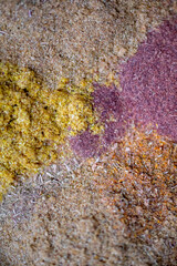 A Serene and Peaceful Forest Scene Featuring Lush Green and Vibrant Foliage 