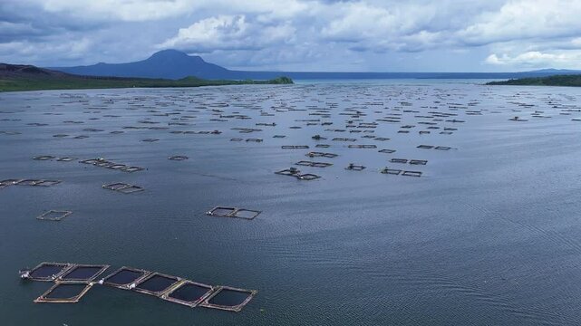 Aerial shot of fishnets in the water in the Philippines, with the geometric patterns of the nets visible across the water, highlighting the fishing community and traditional aquaculture practices.