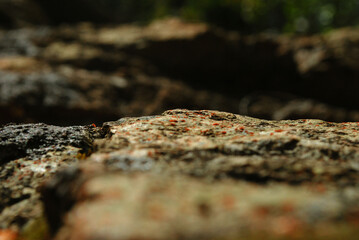 plano detalle de piedra y textura