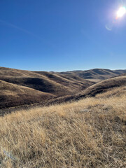 Grassland Hills Under a Clear Blue Sky