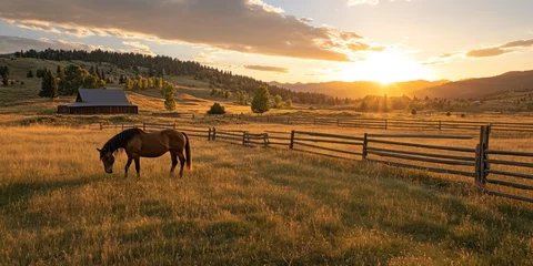 A serene landscape at sunset featuring a horse grazing near a barn and wooden fence.