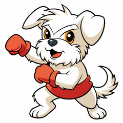 Maltese dog fighting on white background