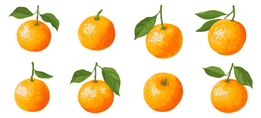 Collection of orange sweet tangerines with green leaves isolated on white background. Fresh ripe fruit.