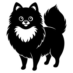 Fototapeta premium Pomeranian dog Silhouette on white background on Vector and illustration