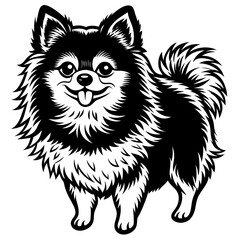 Pomeranian dog Silhouette on white background on Vector and illustration