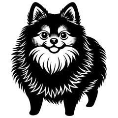 Pomeranian dog Silhouette on white background on Vector and illustration