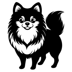 Pomeranian dog Silhouette on white background on Vector and illustration