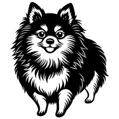 Pomeranian dog Silhouette on white background on Vector and illustration