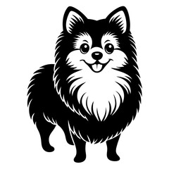 Pomeranian dog Silhouette on white background on Vector and illustration