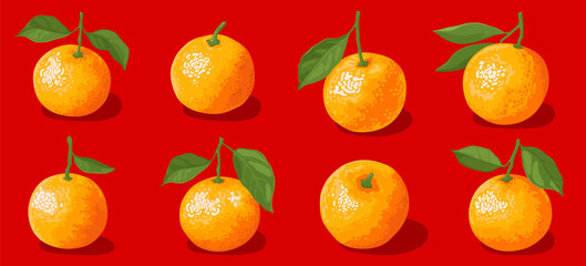 Collection of orange sweet tangerines with green leaves isolated on white background. Fresh ripe fruit. Symbol of Chinese New Year, Tet.