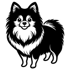 Pomeranian dog Silhouette on white background on Vector and illustration