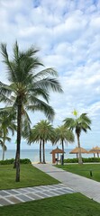 Fototapeta premium palm trees on the beach