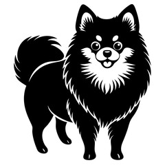 Pomeranian dog Silhouette on white background on Vector and illustration