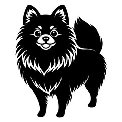 Pomeranian dog Silhouette on white background on Vector and illustration