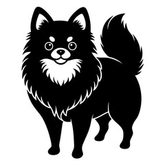 Pomeranian dog Silhouette on white background on Vector and illustration