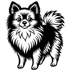 Pomeranian dog Silhouette on white background on Vector and illustration
