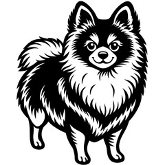 Pomeranian dog Silhouette on white background on Vector and illustration