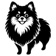 Pomeranian dog Silhouette on white background on Vector and illustration